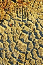 Mud Scape #1 Mud Scape #1