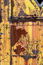 Rusted Train #1 Rusted Train #1