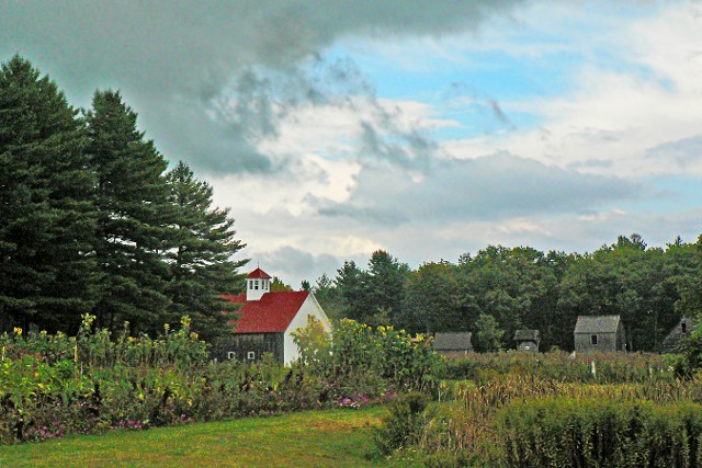 Musterfield Farm