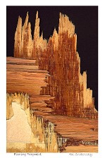 Flooring Fragment Flooring Fragment