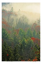 Morning Mist #2 Morning Mist #2