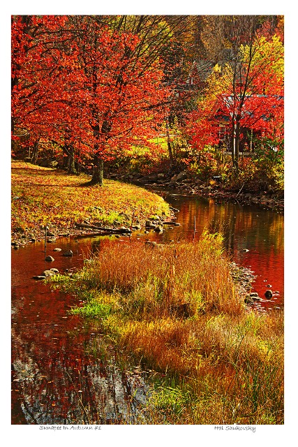 Sunapee In Autumn #1