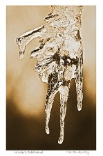 Winter's Cold Hand Winter's Cold Hand