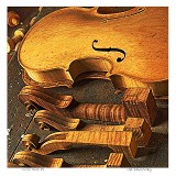 Violin Shop #1 Violin Shop #1