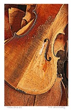 Violin Shop #2 Violin Shop #2